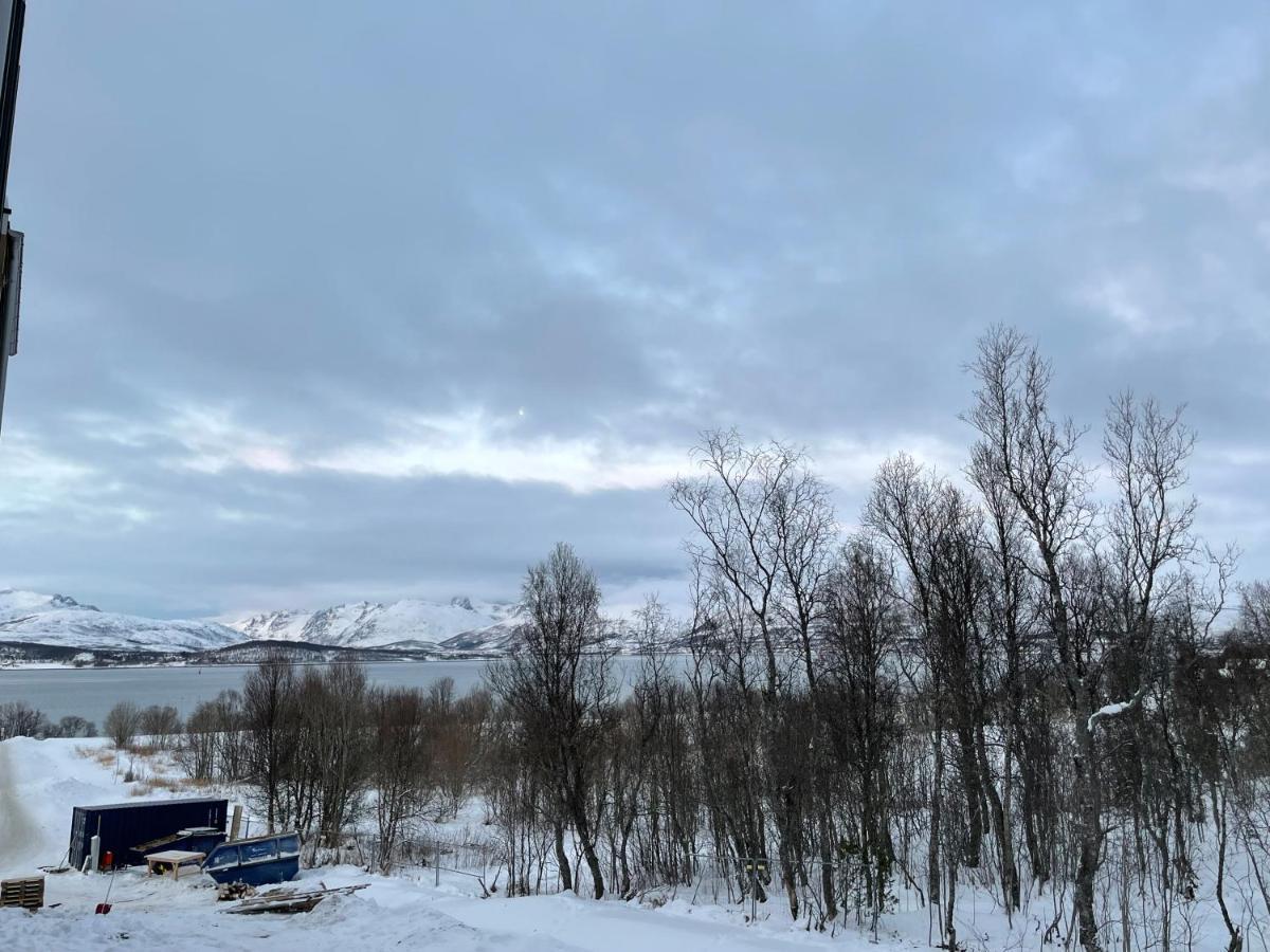 New Modern Apartment - Tromso West Εξωτερικό φωτογραφία